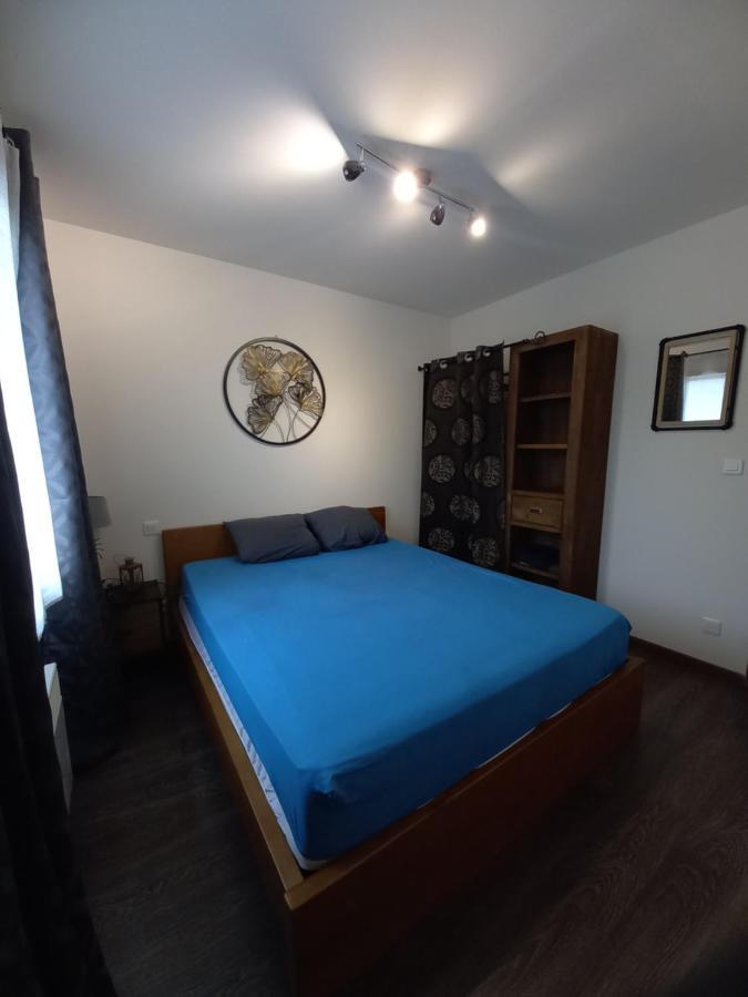 Hebergement Sarment Du Veron Chinon Villa Beaumont-en-Véron Dış mekan fotoğraf