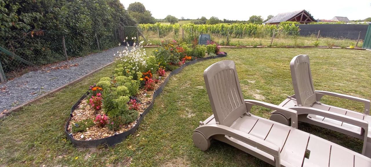Hebergement Sarment Du Veron Chinon Villa Beaumont-en-Véron Dış mekan fotoğraf